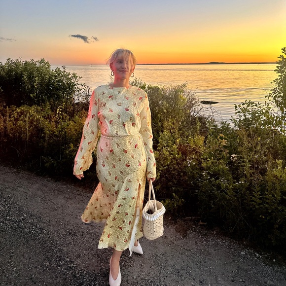 Anthropologie BHLDN Dani Long-Sleeve Open-Back Fit & Flare Maxi Dress - Picture 3 of 6